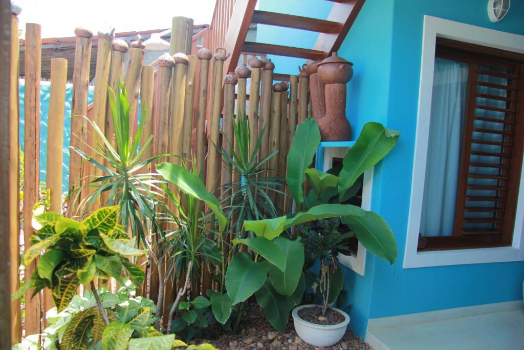 Villa Casa Azul à Praia de Pipa Extérieur photo